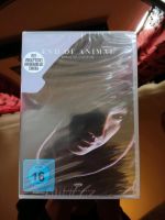 END OF ANIMAL | DVD - Neu | Rapid Eye Movies | Asia Südkorea Film Nordrhein-Westfalen - Euskirchen Vorschau