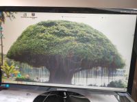 Samsung PC Monitor Hannover - Misburg-Anderten Vorschau