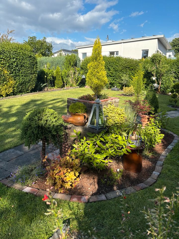 Garten in Oberhausen Alstaden in NordrheinWestfalen Oberhausen
