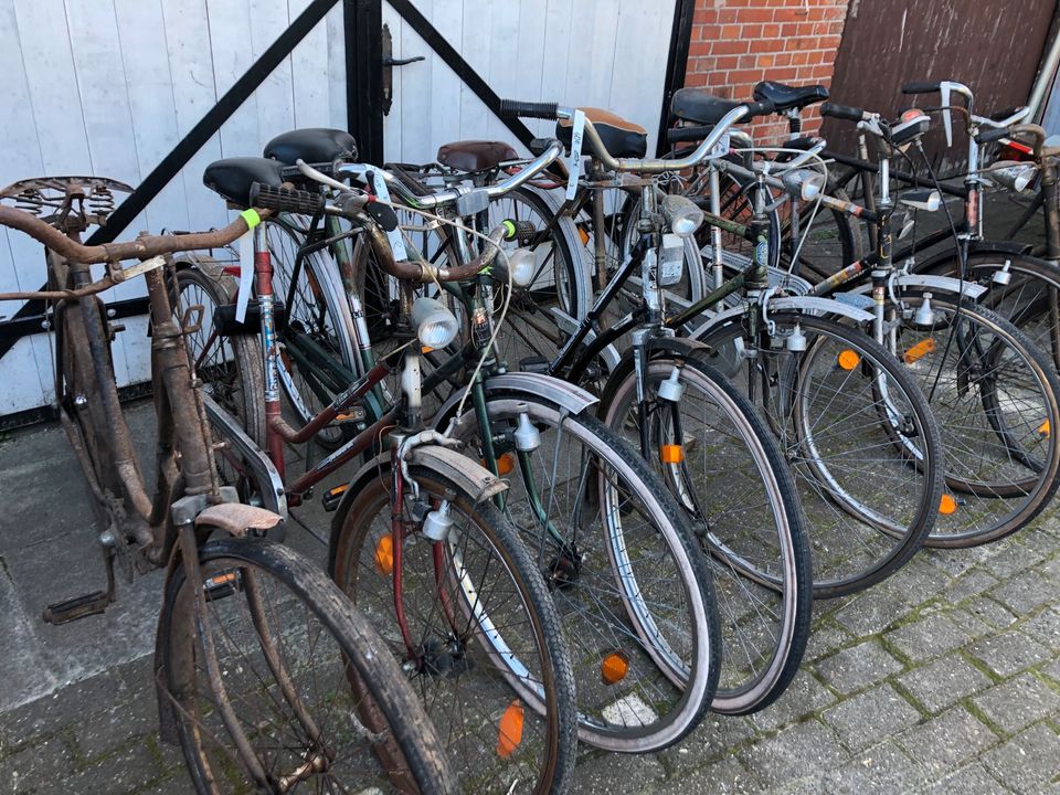 Fahrrad Sammlung Konvolut vorkrieg bis 90r Elite Triumph Bismarck in Ihlow