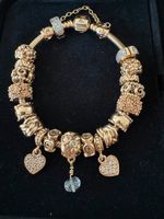 Pandora Armkette 18 cm 585er Gold 19 Charms Sicherheitskette Bayern - Neustadt a. Main Vorschau