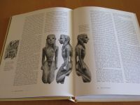 Ivory -An International History And Illustrated Survey -Elfenbein Westerwaldkreis - Krümmel Vorschau