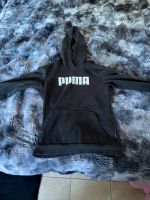 Puma Pullover Rheinland-Pfalz - Ransbach-Baumbach Vorschau