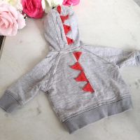 Next zuckersüße Sweatjacke Dino Drache Kapuze Hoodie warm Hessen - Solms Vorschau