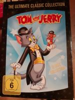 ❤️ TOM UND JERRY XL BOX 12 DVDs, ULTIMATE CLASSIC COLLECTION Bayern - Moosburg a.d. Isar Vorschau