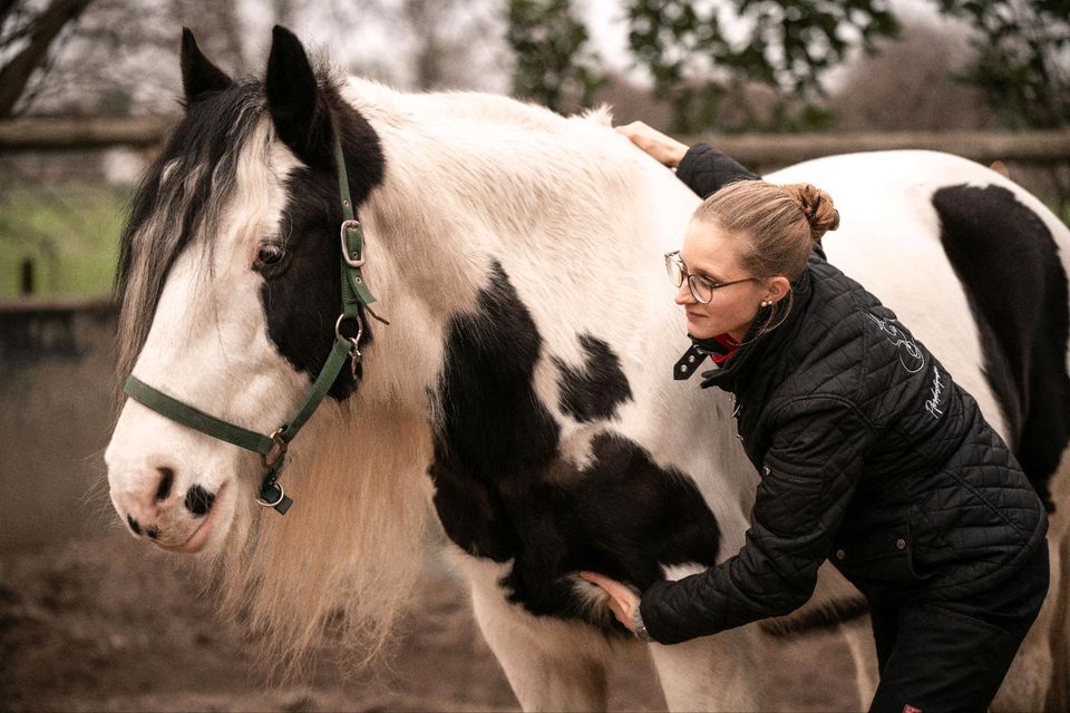 Pferdeosteopathie & -physiotherapie in Willich