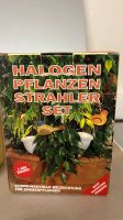 Halogen Pflanzen Strahler Set 2 Lamüen Rheinland-Pfalz - Mülheim-Kärlich Vorschau