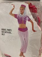 NEU Genie Kostüm, Bauchtanz, rosa Outfit, one Size S-XL Bayern - Dießen Vorschau
