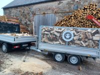 6 Schüttraummeter Kaminholz Birke gescheitelt 25-30cm Sachsen - Löbau Vorschau