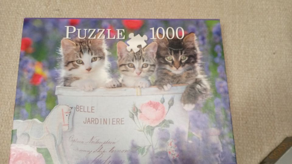 Puzzle 1000 Teile, 3 süße Katzen im Blumenkübel in Halver