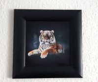 Wandbild mit Rahmen klein Tierbild. Tiger Rostock - Lütten Klein Vorschau