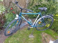 Fahrrad Schauff Sacramento 25 -CRO-MO-4 28 Zoll Baden-Württemberg - Ellwangen (Jagst) Vorschau