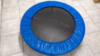 Trampolin Durchmesser 90cm, gebraucht Sachsen - Radeberg Vorschau