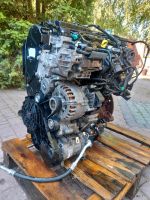 TOYOTA PROACE 2.0 d4d DW10FD DW10FC DW10F4WZ-FTV MOTOR KOMPLETT Brandenburg - Hennigsdorf Vorschau