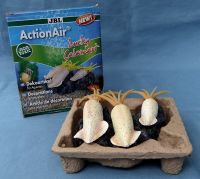 JBL ActionAir Lucky Calamari - Dekorfigur für das Aquarium Hessen - Groß-Gerau Vorschau