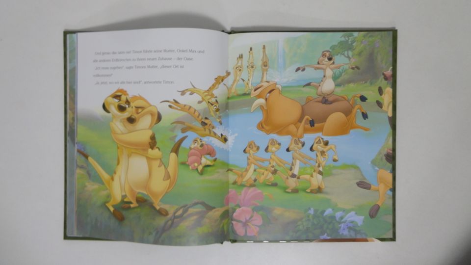 Buch Der König der Löwen magische Geschichte NEU Kinderbuch in Ühlingen-Birkendorf