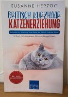 Britisch Kurzhaar Katzenerziehung Ratgeber Baden-Württemberg - Korntal-Münchingen Vorschau