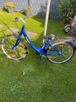 Damenfahrrad 26 Zoll Rheinland-Pfalz - Koblenz Vorschau