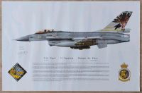 F-16A Falcon Belgien Tigermeet 2001 Kleine Brogel Kunstdruck Bayern - Hebertsfelden Vorschau