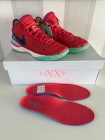 Nike Lebron Zoom Nxxt Gen Gr. 43 Basketballschuhe Schleswig-Holstein - Borgstedt Vorschau