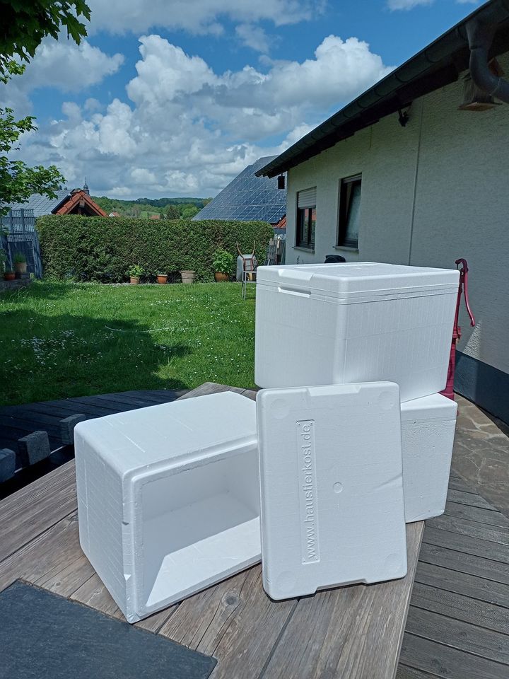 Styropor-Boxen in Altenkirchen Pfalz