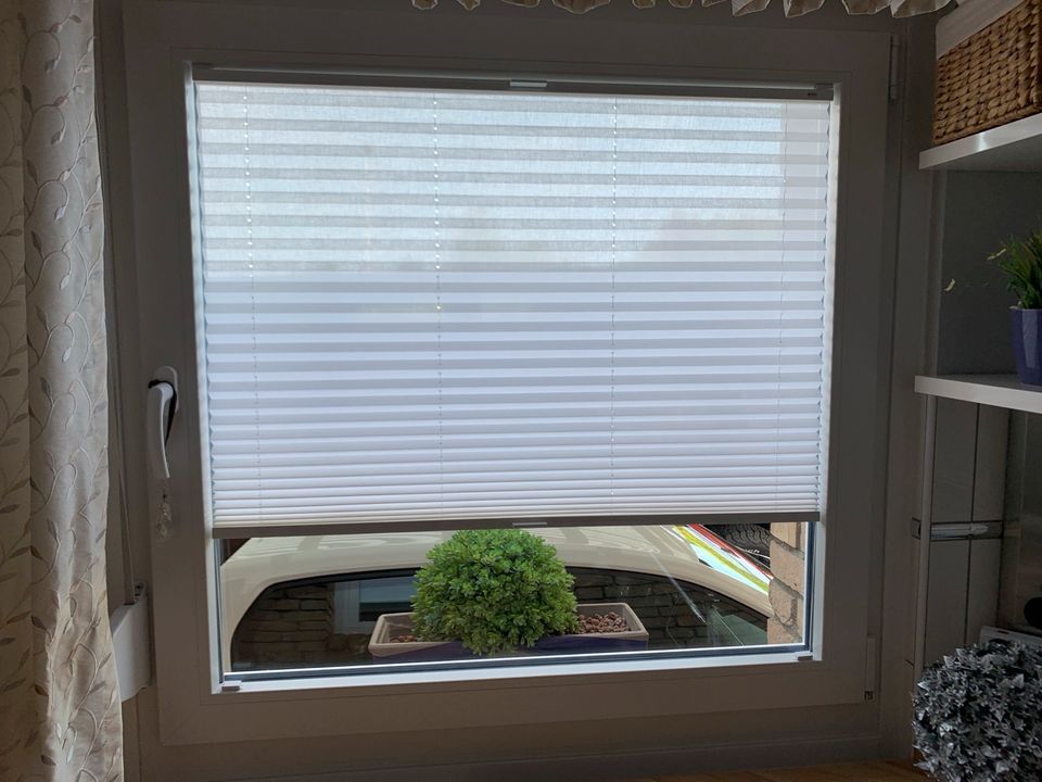 Fensterrollo von Cosiflor VS2 Plisse weiß, in Bornheim