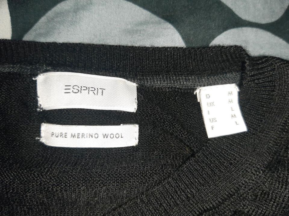 Esprit Pullover Merinowolle in Burkardroth