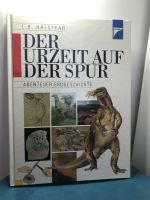 Der Urzeit auf der Spur - Abenteuer Erdgeschichte Baden-Württemberg - Remchingen Vorschau