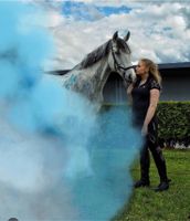 Tierfotografie Pferdeshooting Hund Pferd Fotograf Baden-Württemberg - Giengen an der Brenz Vorschau