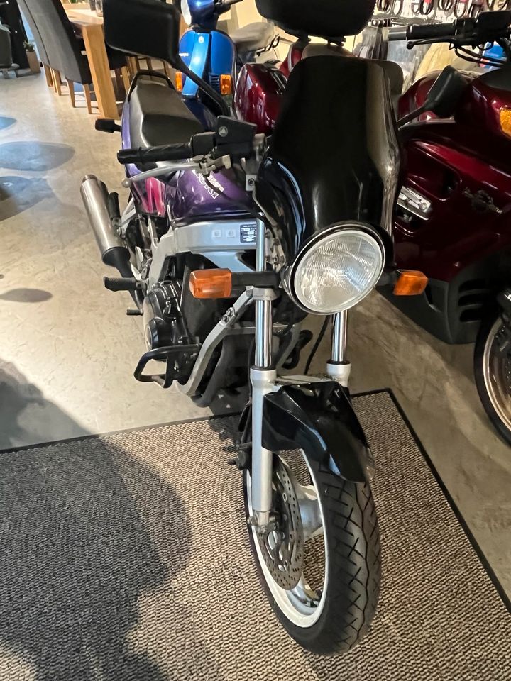 Suzuki GS 500E in Willich