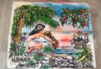 DDR Kissenhülle Seide Hawaii-Motiv, Kissenhülle Seide Rosa Sachsen - Zittau Vorschau