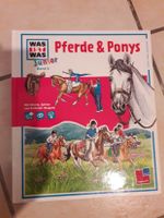 Was ist was Pferde und Ponys Junior Bayern - Pentling Vorschau