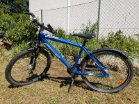 Pegasus Fahrrad 26 Zoll Brandenburg - Birkenwerder Vorschau