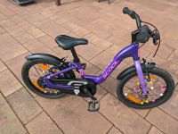 Fahrrad 16 Zoll Scool Niedersachsen - Hoya Vorschau