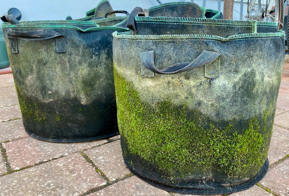 Pflanzsack Pflanztasche 15x 30 L für Urban Gardening in Worms