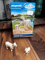 Playmobil Alpakas Findorff - Findorff-Bürgerweide Vorschau