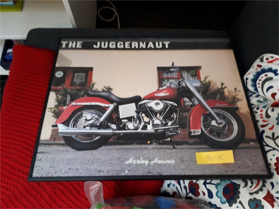 großes Bild Juggernaut Harley Davidson in Pattensen