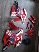 Verkleidung Rennverkleidung Ducati 899 1199 Panigale Schleswig-Holstein - Schafstedt Vorschau