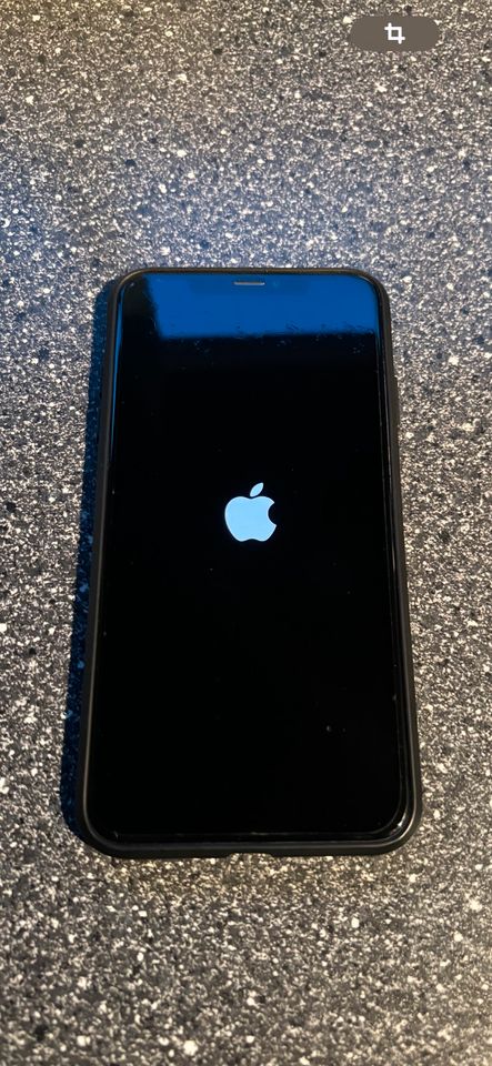 iPhone XS Max 256 GB sehr guter Zustand in Dossenheim