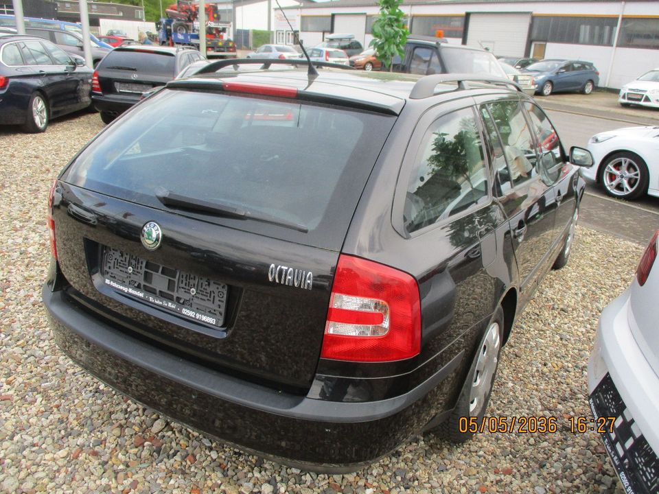 Skoda Octavia Combi Ambiente in Selm