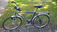 Laguna Winora Herren Fahrrad Baden-Württemberg - Ulm Vorschau