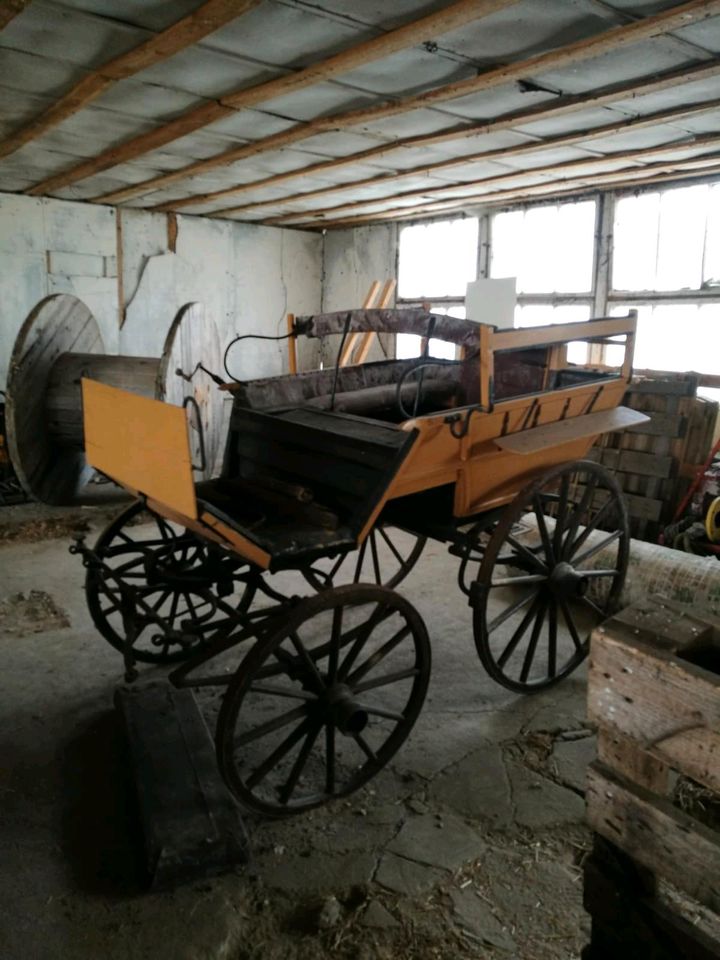 Kutsche (Jagdwagen) in Neuhardenberg