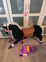 Reitpferd für Kinder Nordrhein-Westfalen - Bedburg Vorschau