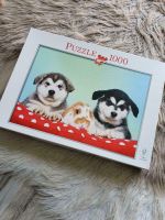 Tolles 1000 Teile Puzzle Husky Welpen und Kaninchen Nordrhein-Westfalen - Siegen Vorschau