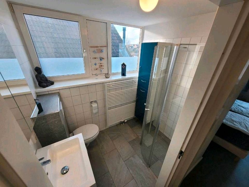 Ferienhaus 6 Pers- Huis 248 mit Sauna in Zeeland in Düren