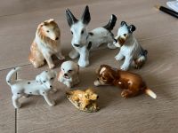 Porzellanfiguren Hunde 7 Stück u.a. Goebel, Gerold Düsseldorf - Stockum Vorschau