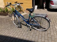 Fahrrad Hercules Damenrad Trekkingrad Rheinland-Pfalz - Wintrich Vorschau