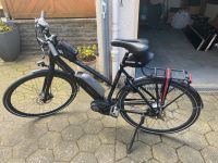 Gazelle Cityzen C8HM Pedelec E-Bike 28“ Tourenrad Herren Bielefeld - Bielefeld (Innenstadt) Vorschau