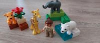 Lego Duplo 4962 Zoo Tierbabys Brandenburg - Potsdam Vorschau