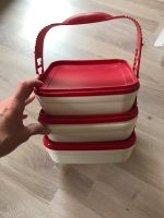 Tupperware Picknick-Set 3x600 ml Hessen - Riedstadt Vorschau